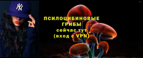 ECSTASY Армянск