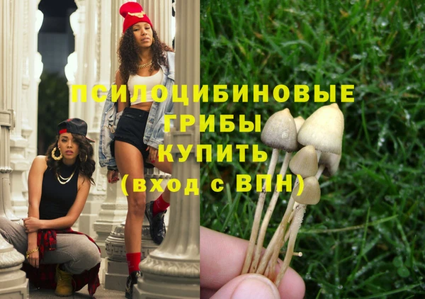 ECSTASY Армянск